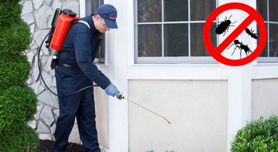 Kiğı Gümüşkurt İlaçlama böcek ilaçlama ve haşere kontrolü — ilaclama-tr.com